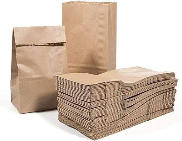 SAC KRAFT 3KG 100P